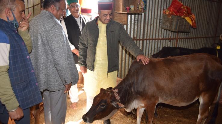 Solan: Protecting the mother cow is the moral responsibility of all of us - Dr. Rajiv Saizal