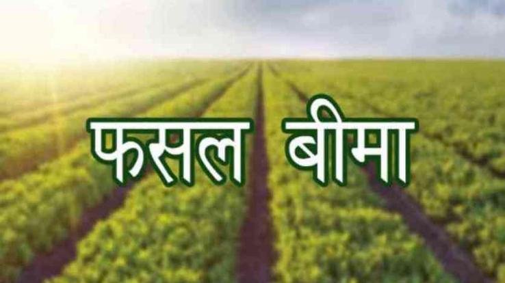 Solan: Last date of Pradhan Mantri Fasal Bima Yojana is 15th December