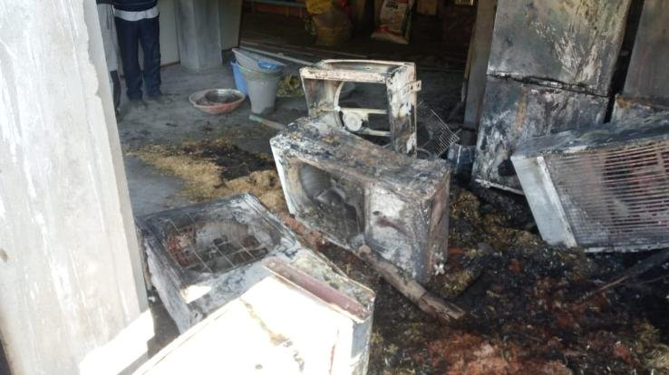 Dadlaghat: Fire broke out in mushroom plant in Hanuman Badog, Gram Panchayat, loss of lakhs