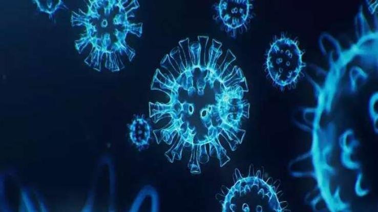 Omicron reached Himachal, virus confirmed in Mandi woman