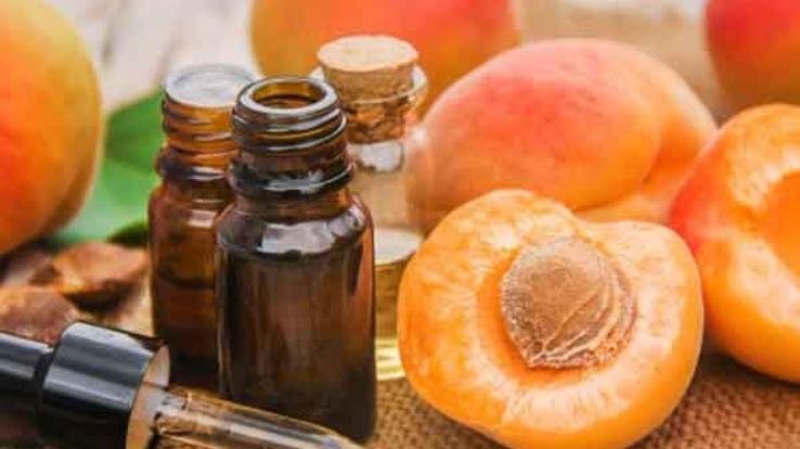 Chulli oil: Panacea for health, now recognized internationally