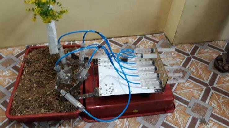 सोलन : बाल विज्ञान सम्मेलन-2021 में सोलन जिला के 10 छात्र विजेता घोषित