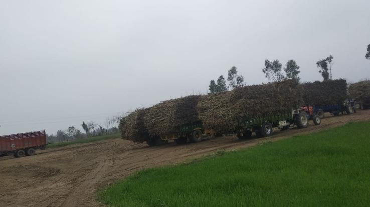 इंदौरा : पंजाब के अमृतसर की शुगर मिल की मनमानी प्रदेश के शिक्षा विभाग पर पड़ रही है भारी, ग्राउंड बना दलदल