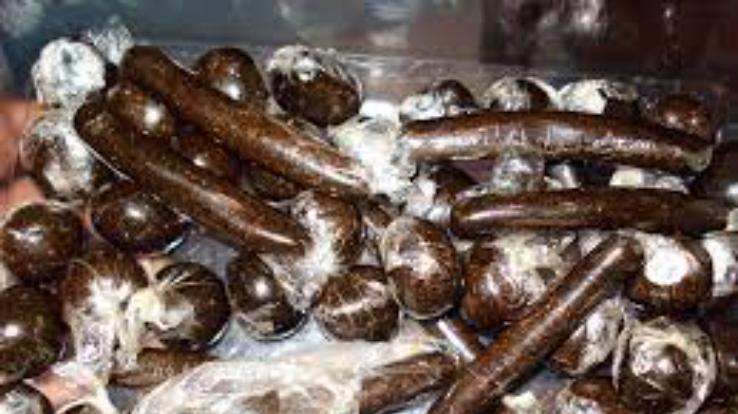 One arrested with one kg 406 grams of charas, case registered