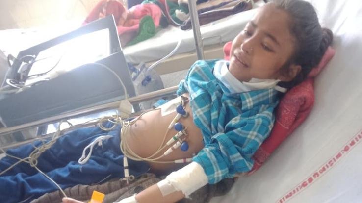 Ladbhadol: Kritika's both kidneys are bad, hands out to help