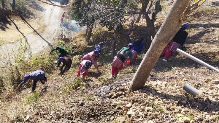 Various activities organized on the second day of NSS camp