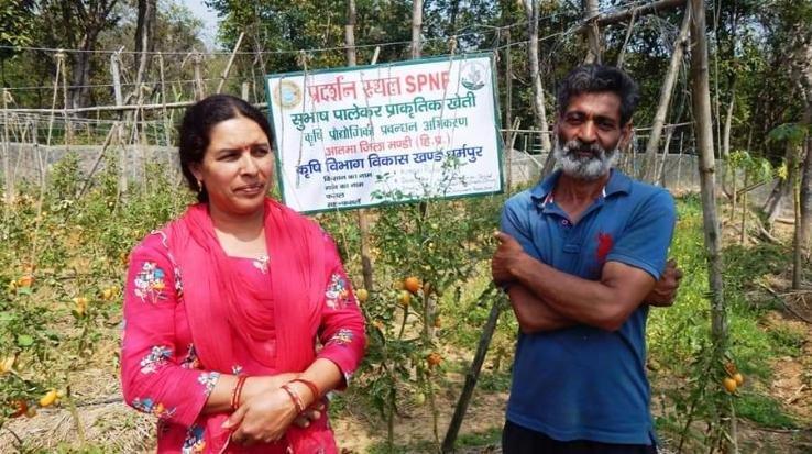 The barren land was made fertile by natural farming, now Ajay is growing 'gold' there