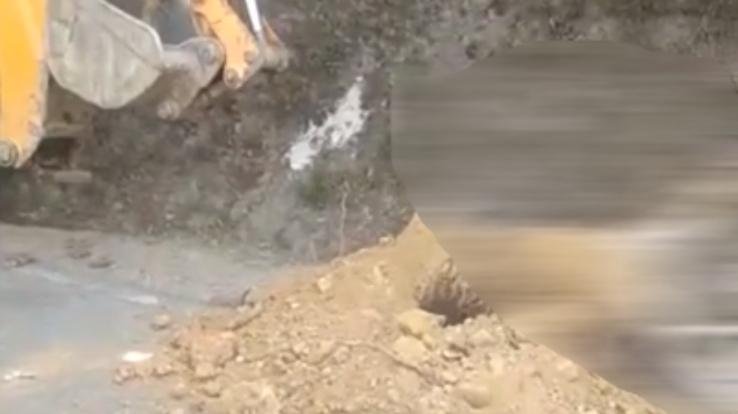  dead cow was buried by social worker Ramesh Soni near Kotropi