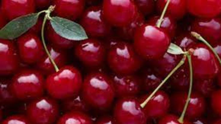 Gardeners are getting double the price of cherries this year