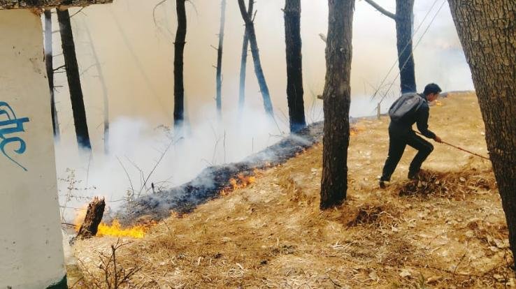  Fire broke out in the forest around the school