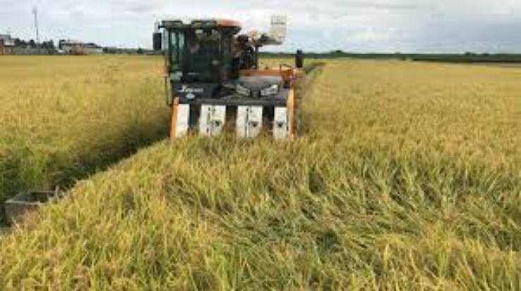 Contribution of Agriculture Farm Milwan to the farmers