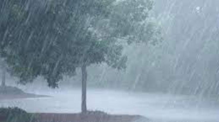  People got relief from the heat due to rain