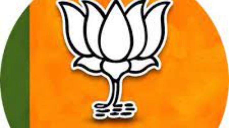  Development plan made keeping in mind the interests of all: BJP