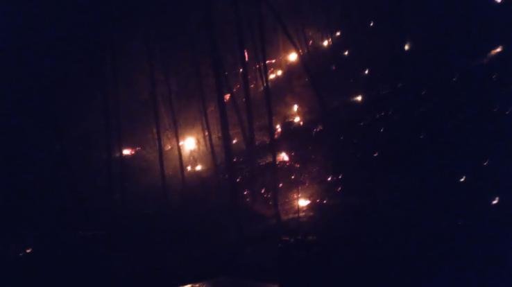 Fire broke out in the forest adjacent to Chandi School