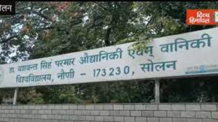  Nauni University has released the dates of document evaluation and typing test for various posts.