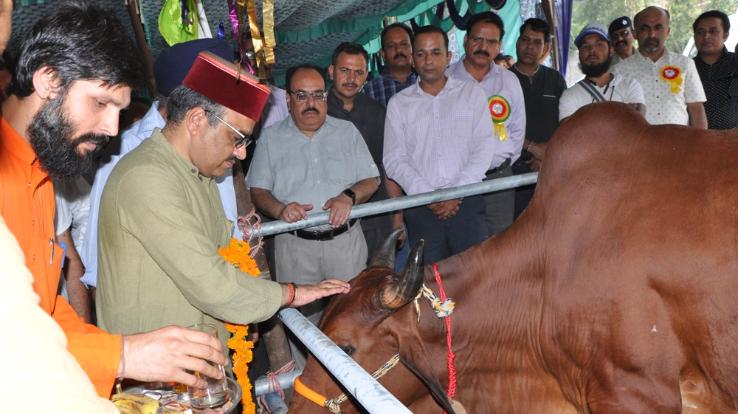 Cow is the fundamental basis of our economy- Dr. Saijal