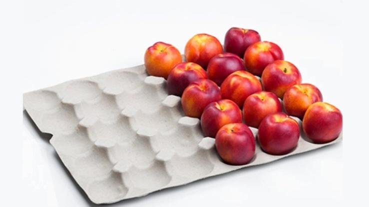 Price of apple packing tray increased again in Himachal Pradesh