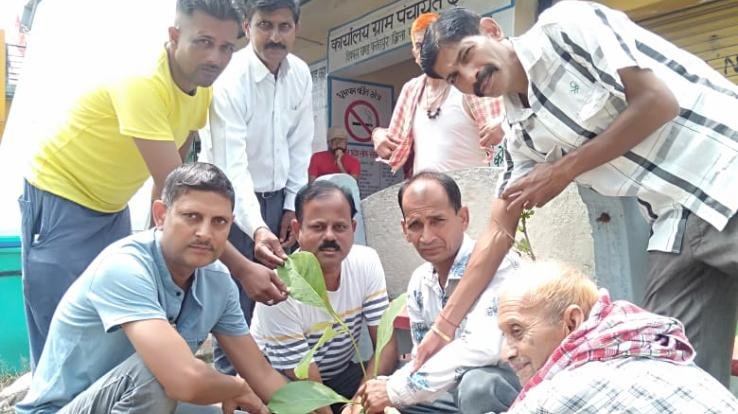 Plantation done in Chayat Dhasoli on the occasion of Hariyali festival