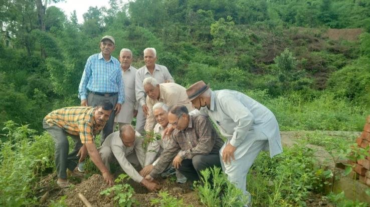 Kohli Samaj President celebrated his 76th birthday by planting saplings