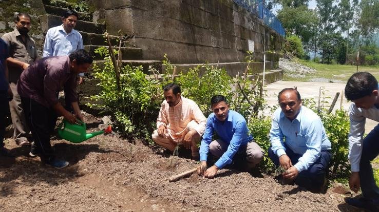 Construction of Ayush Vatika in Chandi Arki School