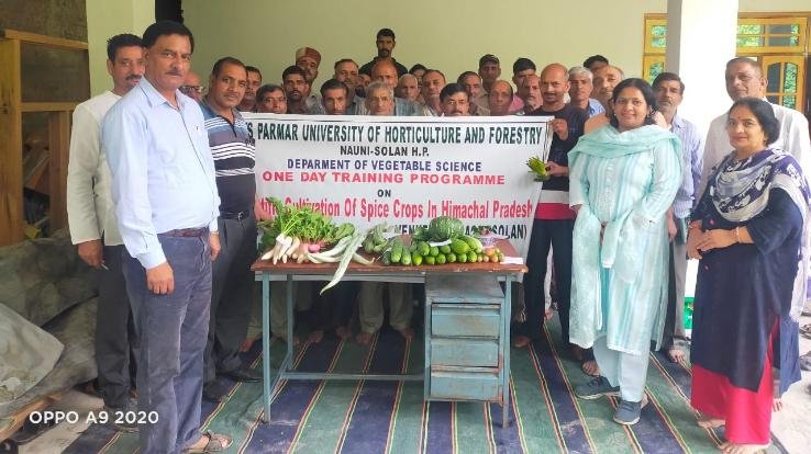 Demonstration of vegetables planted in one-day agricultural extension camp