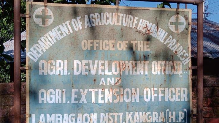Another cow dies of lumpi disease in Lambagaon
