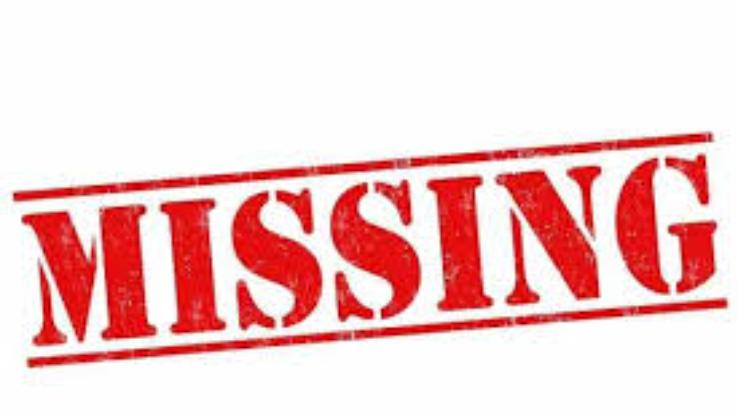 Minor girl goes missing from Tutikandi, case registered