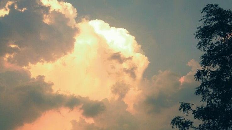 Shimla: Weather will remain clear across the state till December 2, Meteorological Center gave information