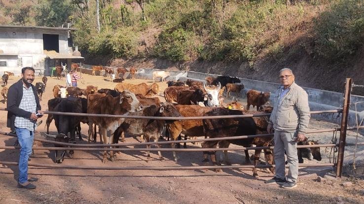 Institute worried about the future of cows in Kalyan Gau Sadan Dhar Tatoh