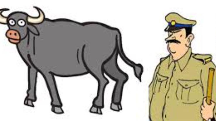 Dehra: Jai Chand's brown piece suddenly disappeared from Haar Minta on January 13.