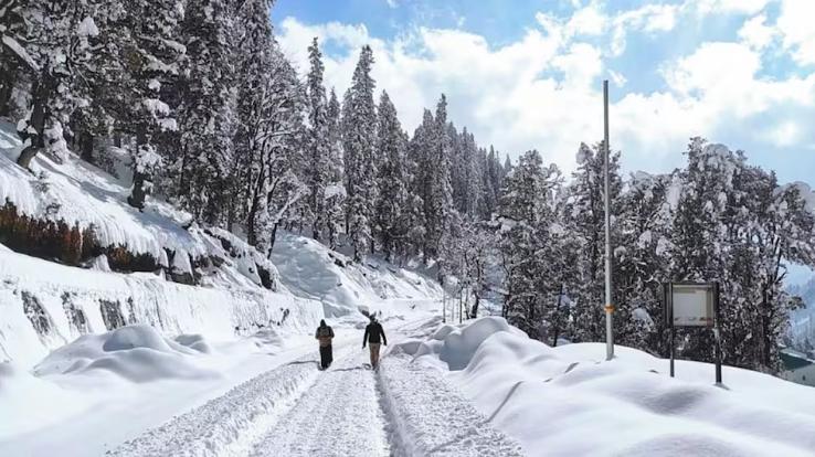Bad weather will continue in Himachal Pradesh till January 26
