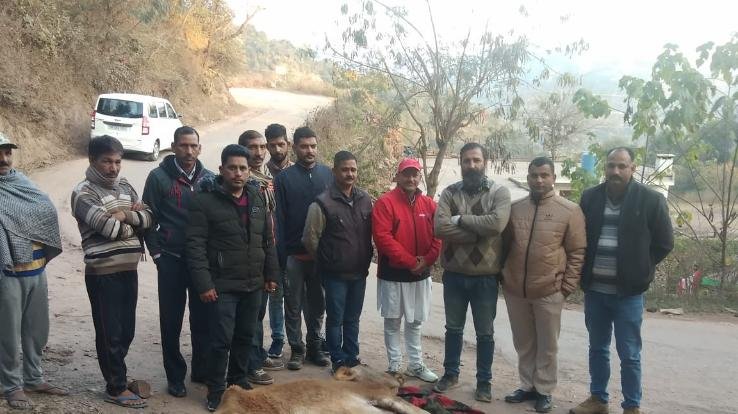 जब तक नहीं बनेगा कड़ा कानून मरते रहेंगे बेसहारा पशु 