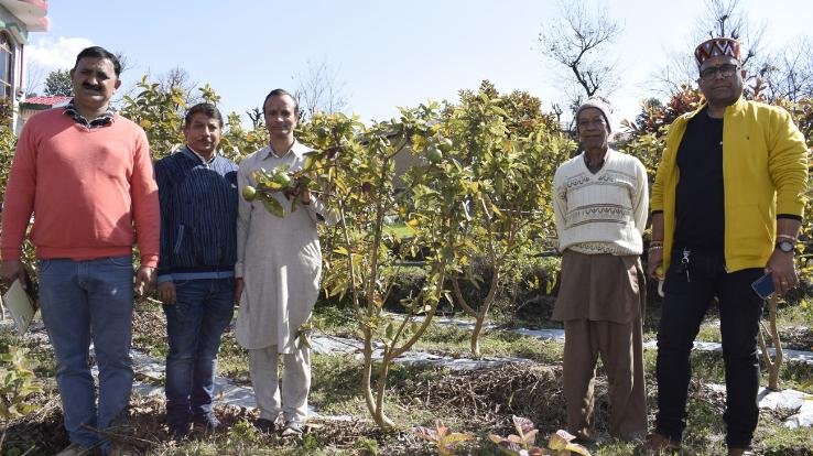 Sehal of Baijnath will be known as fruit village