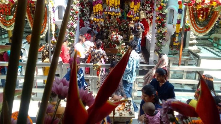 Kangra: 2,13,169 rupees were offered in Bajreshwari temple in the first Navratri