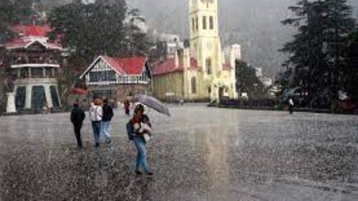 Due to rain in Himachal, the concern of gardeners increased