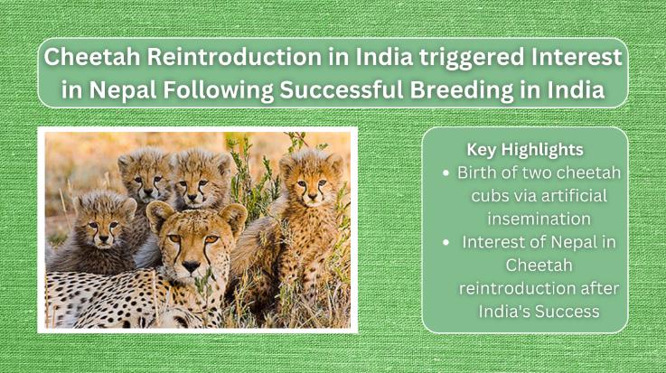 Cheetah-Reintroduction-in-India-triggered-Interest-in-Nepal