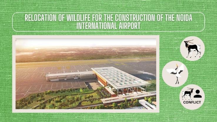 Relocation-of-Wildlife-fo-the-Construction-of-the-Noida-International-Airport