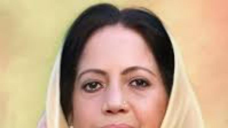Shimla: The state did not get any benefit from the double engine government: Pratibha Singh