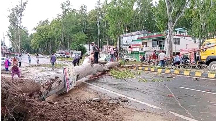 Sirmaur: Tree fell near Majra on NH Chandigarh-Dehradun, major accident averted 111 222