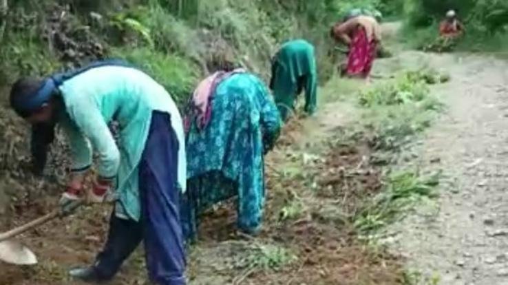 Kunihar: The women of Chiswa themselves repaired the road leading to the village