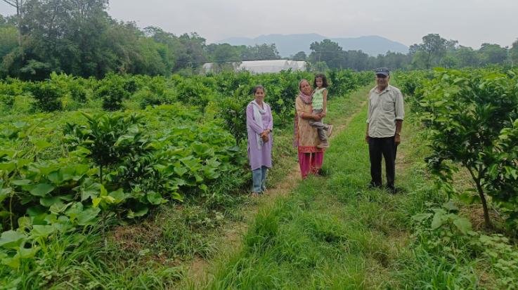  Dehra: Vijay Singh brightened the name of the area by doing natural farming