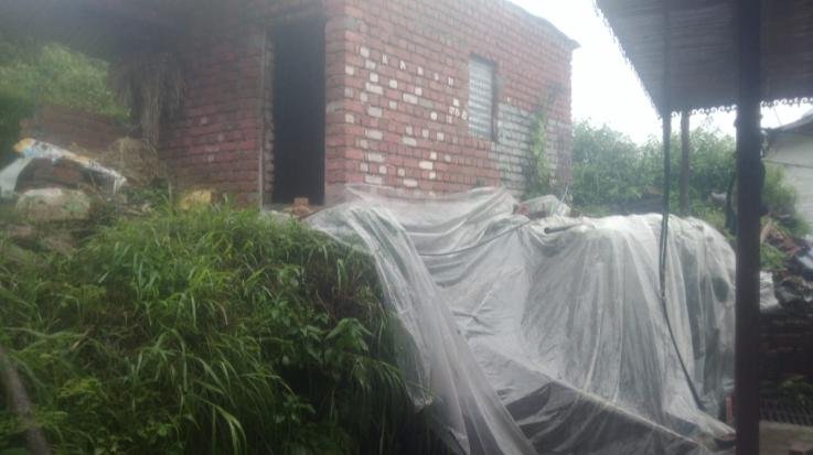 Sirmaur: Danger looms over the Gaushala of Leela Devi of Devthana Nandi, appeals to the government for help