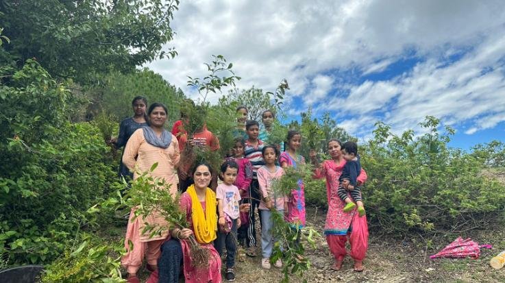 Solan: Mountaineer Baljeet and NRLM President Seema Hanoth planted saplings with children