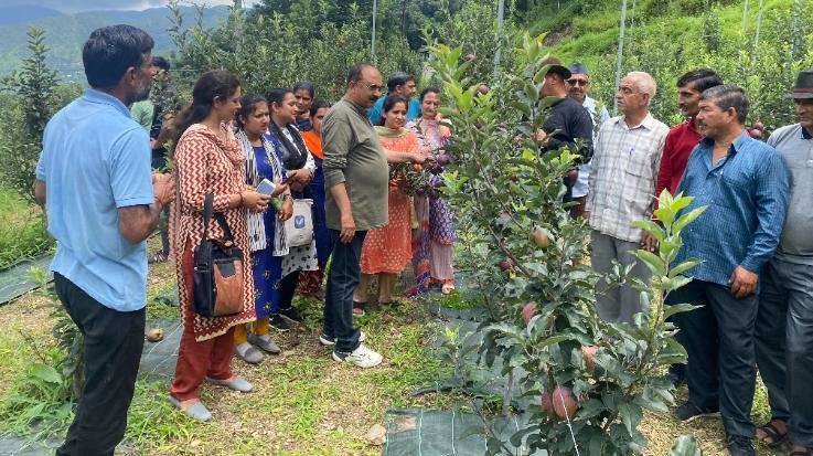 Solan: Krishi Vigyan Kendra Kandaghat celebrated Apple Day