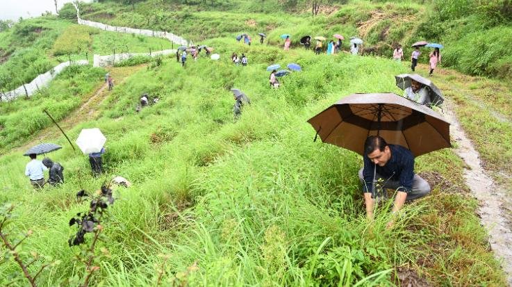 Van Mahotsav celebrated in Nauni University, 4000 saplings will be planted in the campus