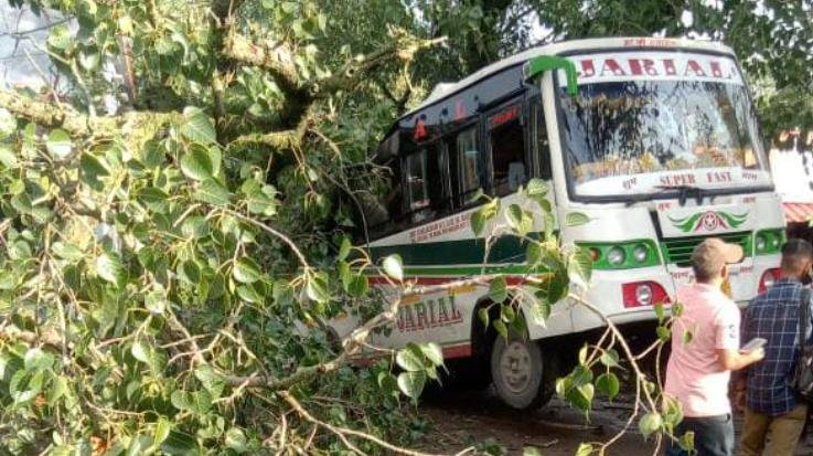 Jwalamukhi: Twinkle's leg injured in Balaldu bus accident had to be amputated in Tanda hospital