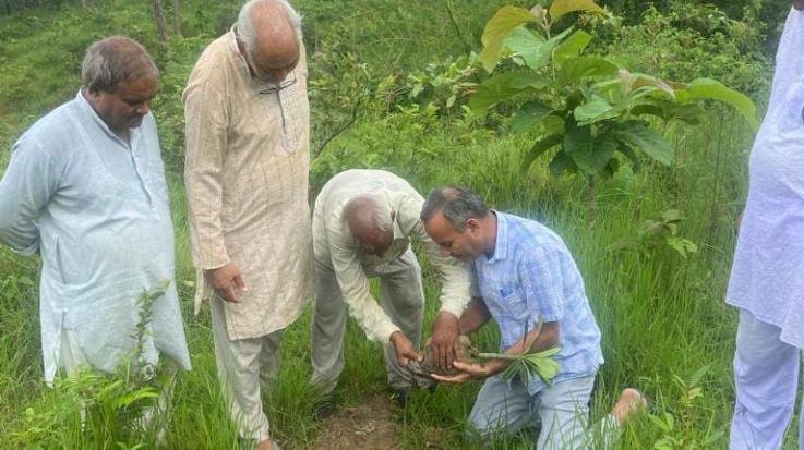 Jaswan-Paragpur: BJP Mandal planted 51 medicinal plants in village Kasba Kotla