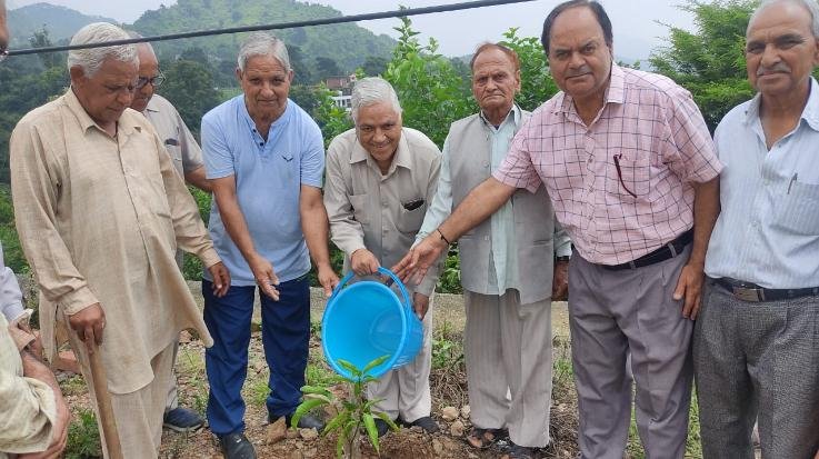 Kunihar: Pensioners and Senior Citizens Welfare Organization celebrated Van Mahotsav
