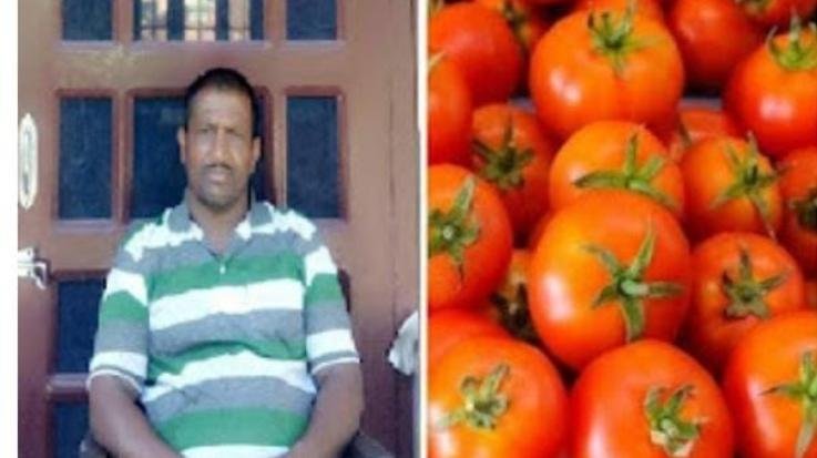 Mr. Renuka: Himsona tomatoes broke records, a crate sold for Rs 7,200 in Delhi Mandi.