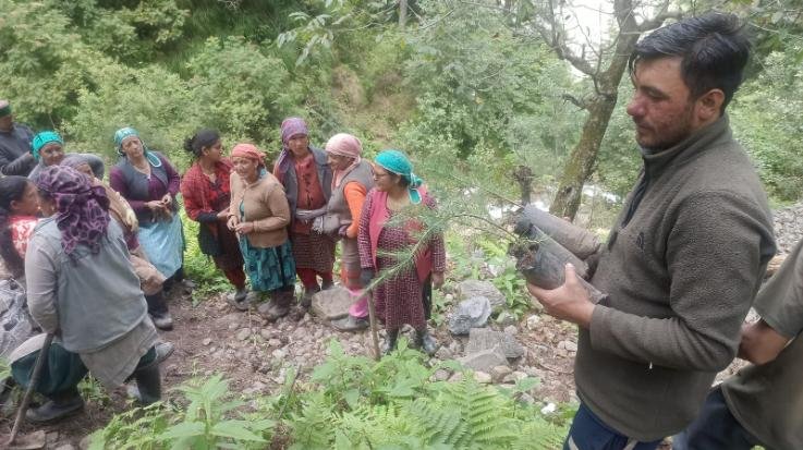 Kinnaur: 75 saplings planted in Chansu under 'Meri Mati, Mera Desh' program